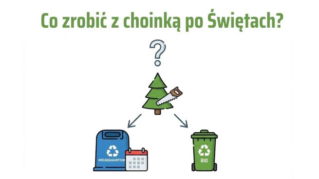 Co zrobić z choinką po świętach? Poradnik dla naszych mieszkańców