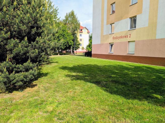Majowa pielęgnacja trawników na osiedlach TBS Wrocław