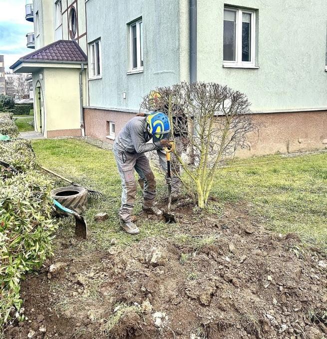 Akcja Zielona Przeprowadzka na osiedlu TBS w Leśnicy